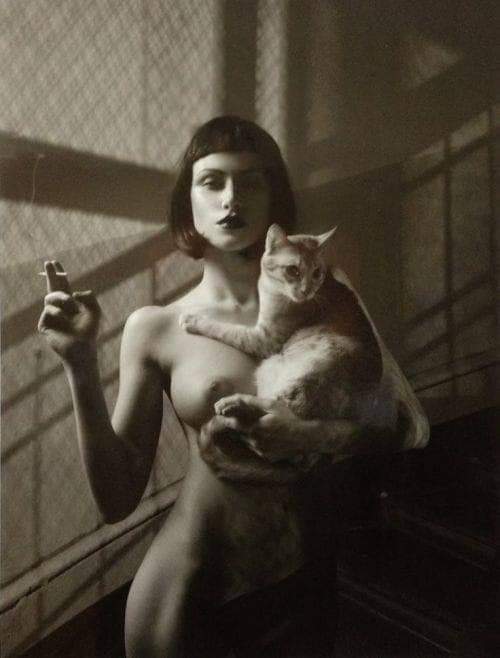 500x658, 27 Kb / кошка, сигарета, ч/б