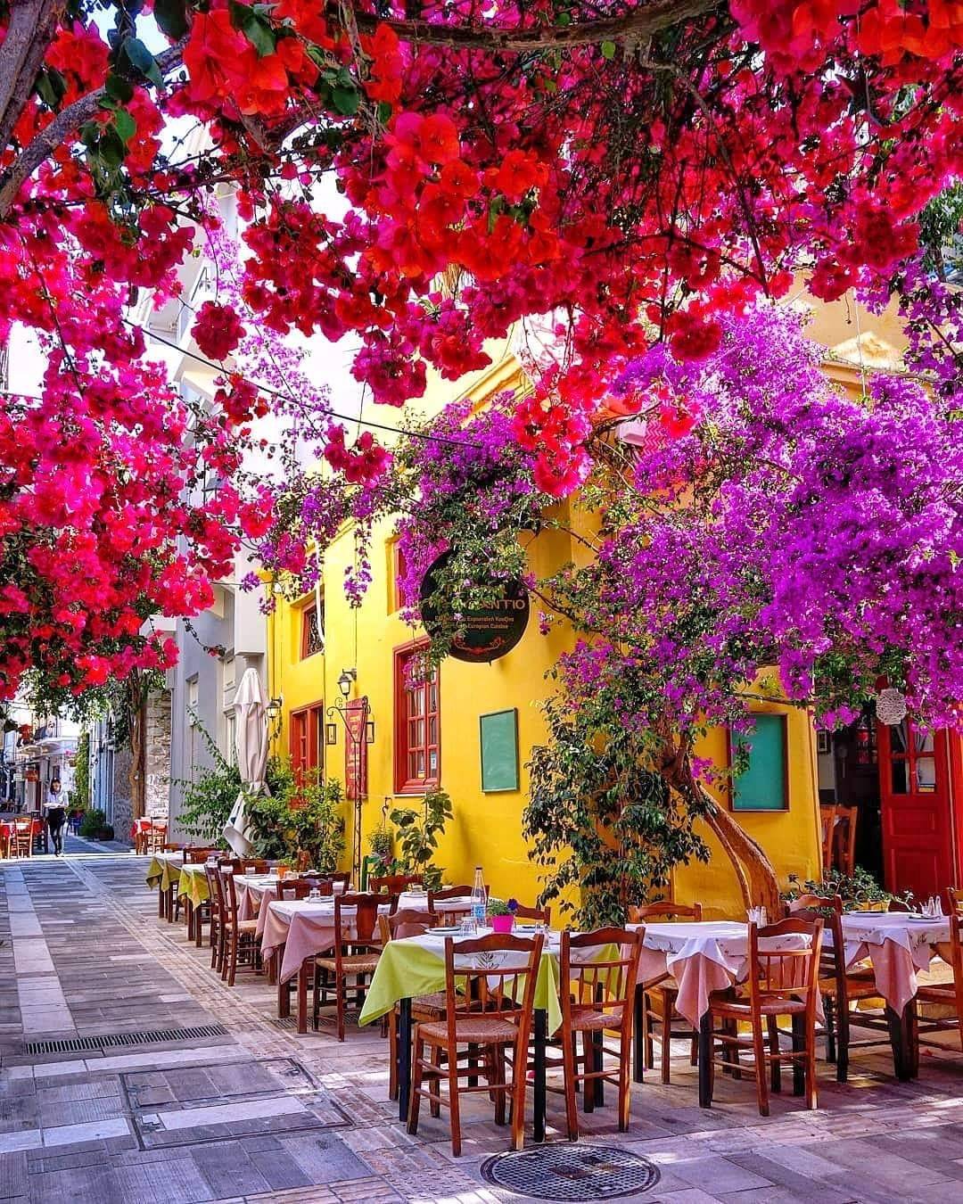 1080x1350, 354 Kb / Греция, кафе, стол, стул, дерево, цветы, люк