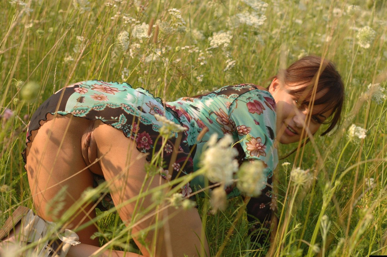 1280x850, 274 Kb / трава, раком, платье