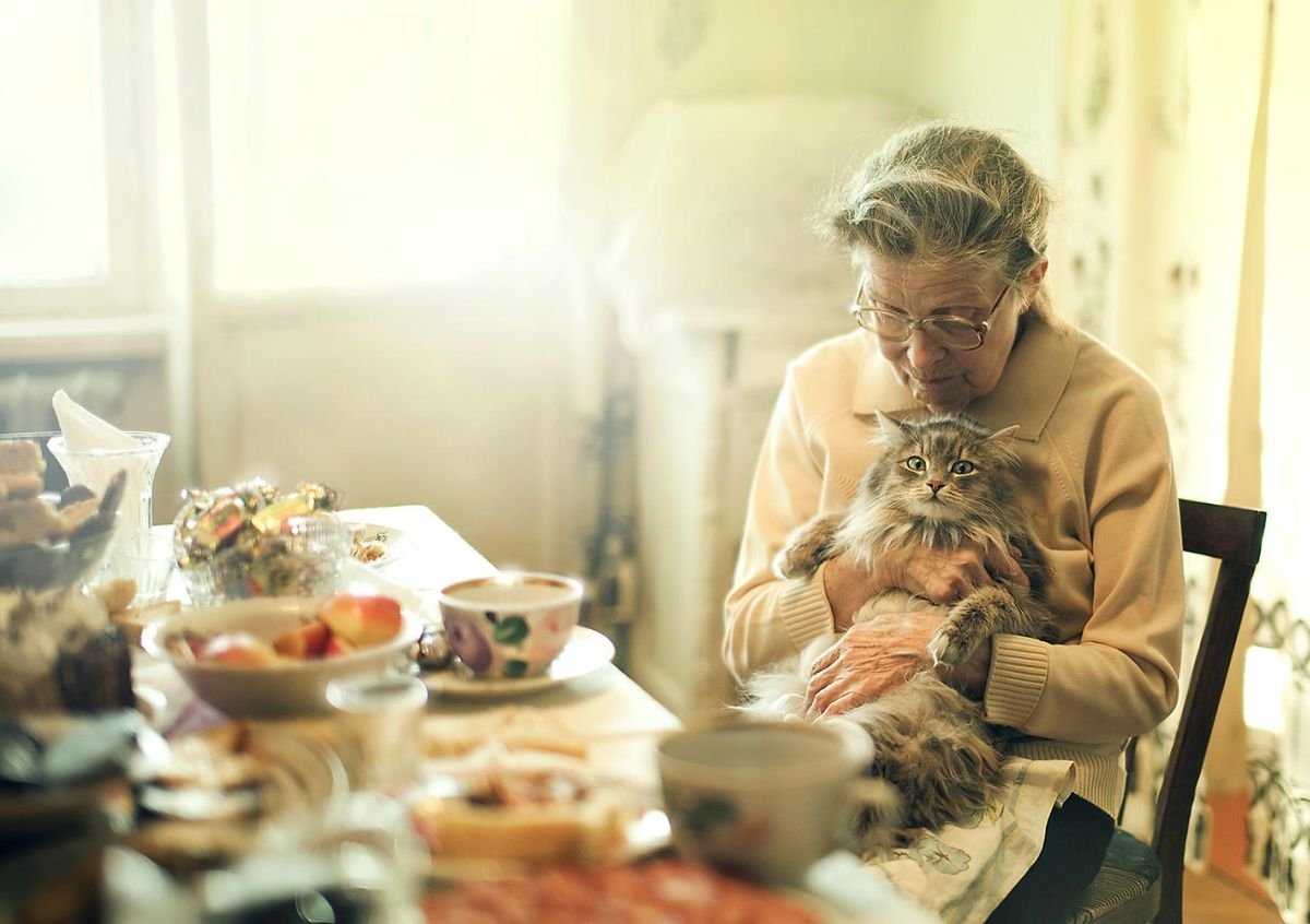 1200x846, 115 Kb / бабушка, старушка, кот, очки, стол, чашки