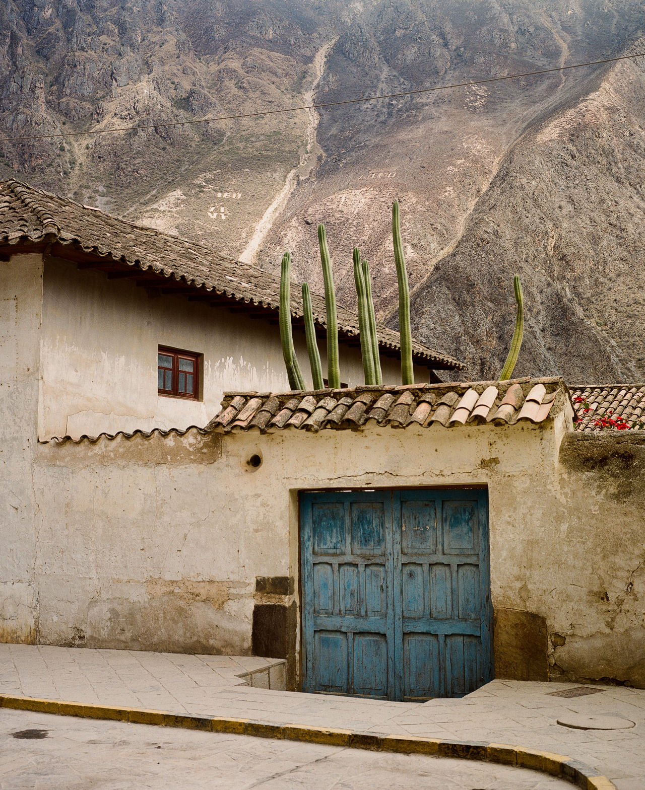 1280x1569, 572 Kb / ворота, кактус, забор, горы, люк, черепица, цветы