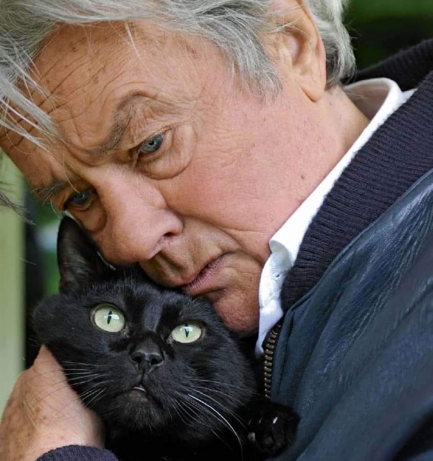 846x900, 88 Kb / Ален Делон, кот