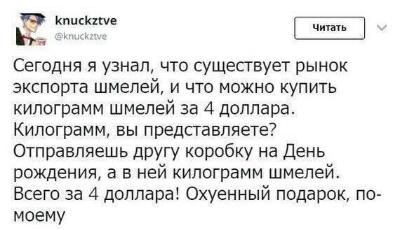 570x329, 37 Kb / рынок, шмелей, подарок