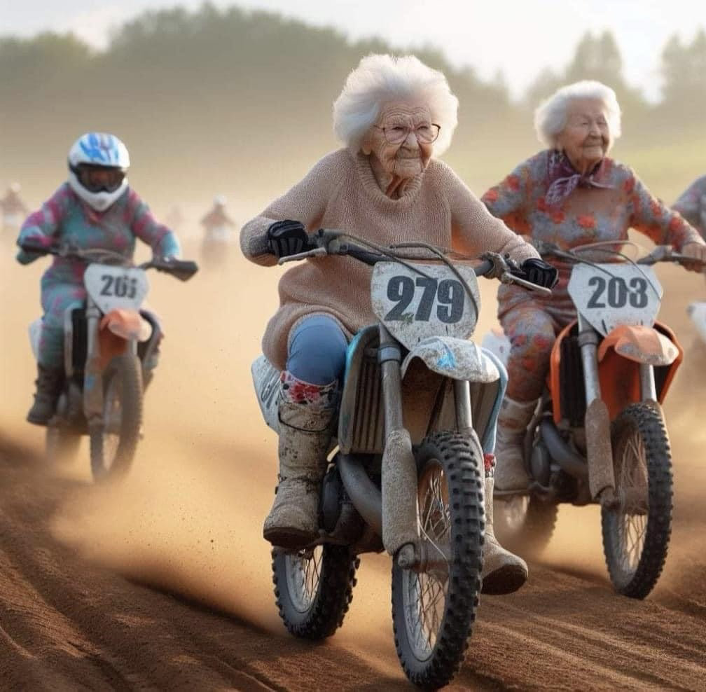 1008x988, 155 Kb / байк, бабушка, ИИ