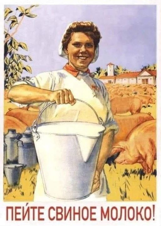 514x720, 92 Kb / доярка, ведро, свиноферма, молоко, свиное, плакат