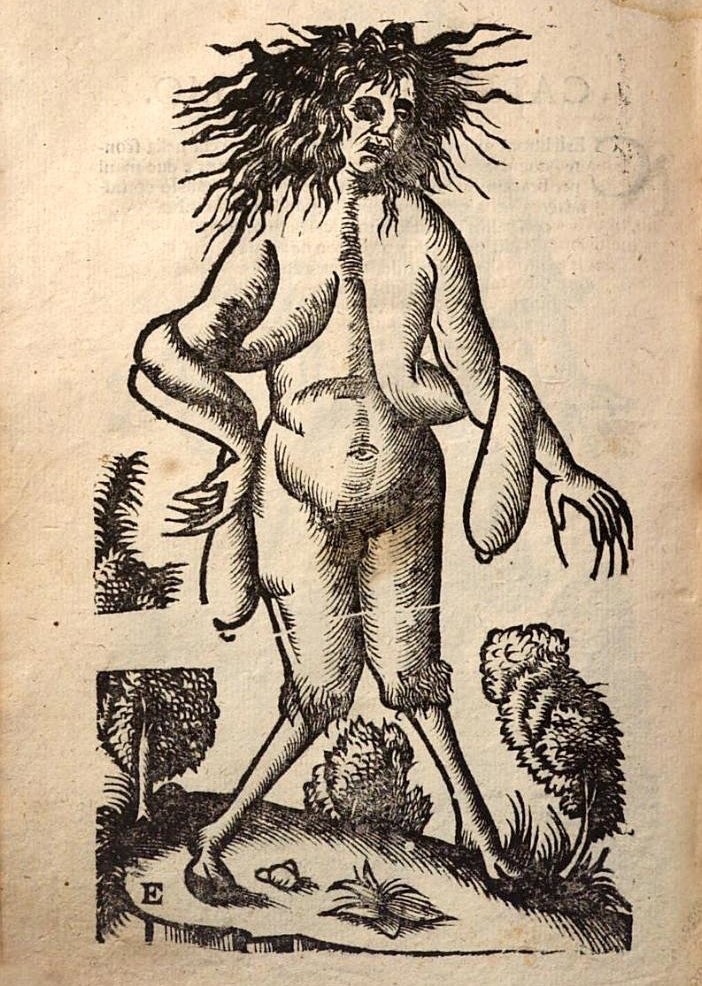 702x986, 314 Kb / ОНО, рисунок