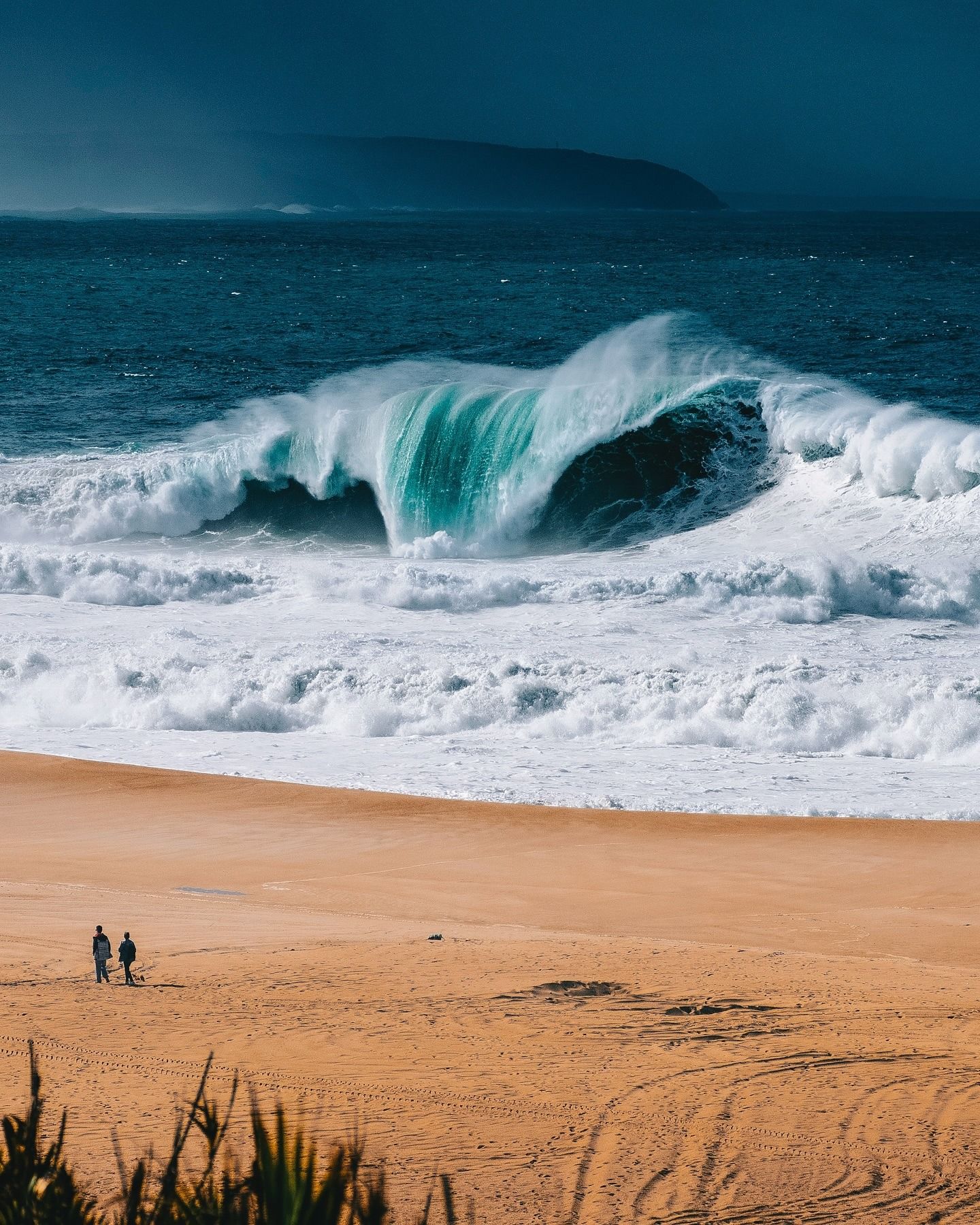 1440x1800, 519 Kb / пляж, песок, волна, Португалия