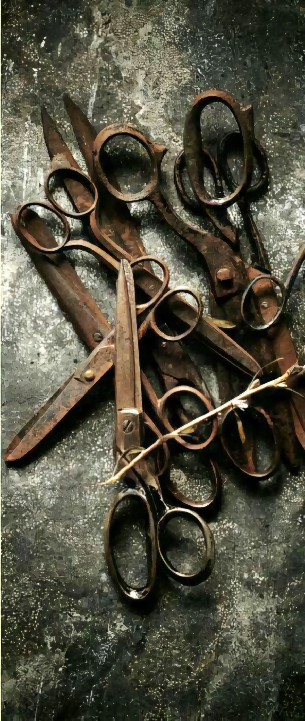 1184x2800, 376 Kb / Ножницы