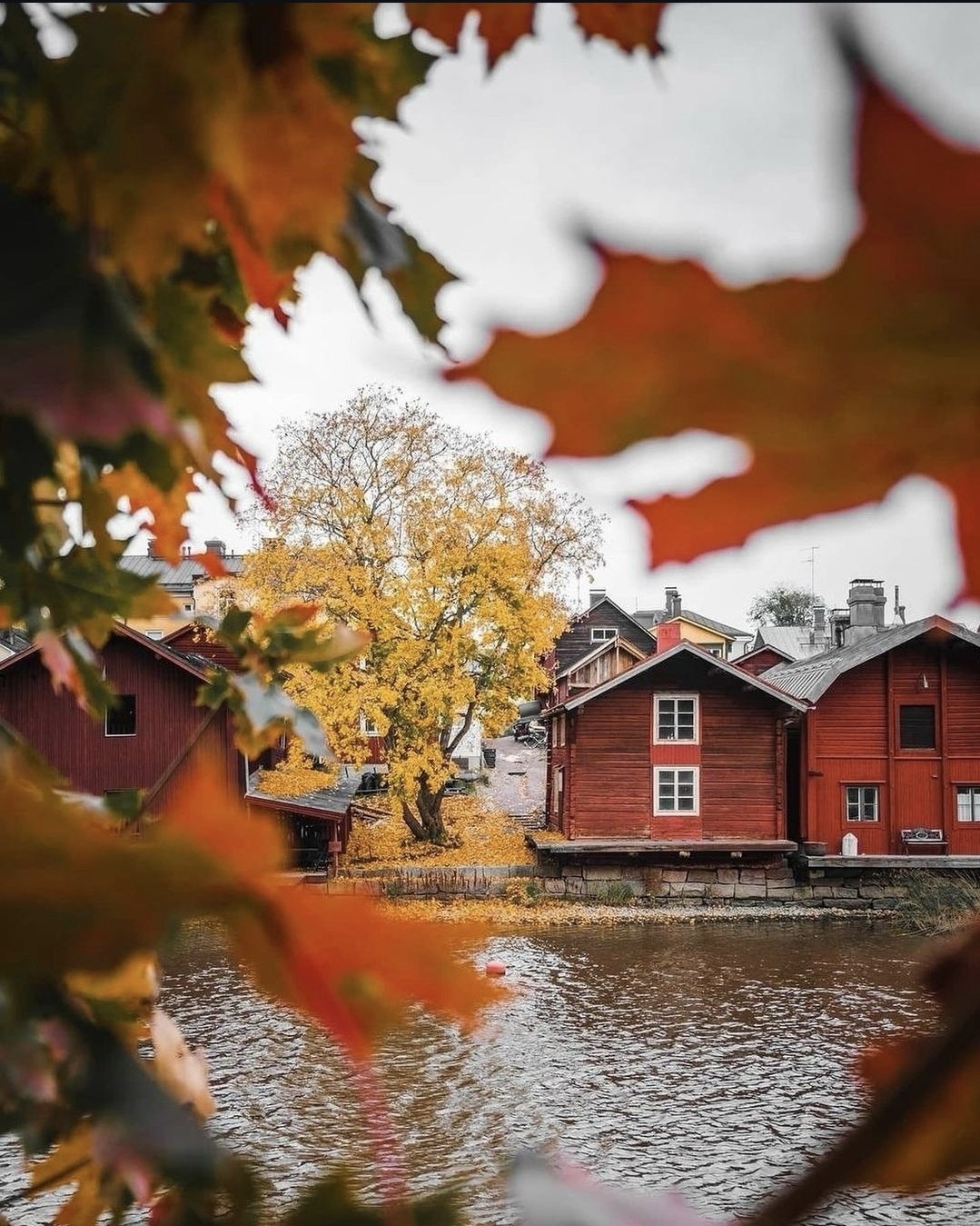 1079x1349, 406 Kb / Клён, лист, дом