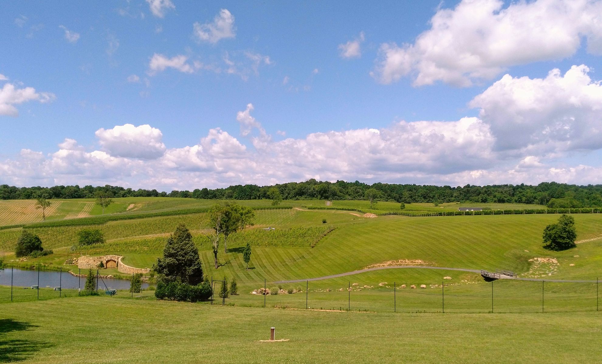 1981x1200, 362 Kb / винодельня, поле, виноградник, небо, облака, лес