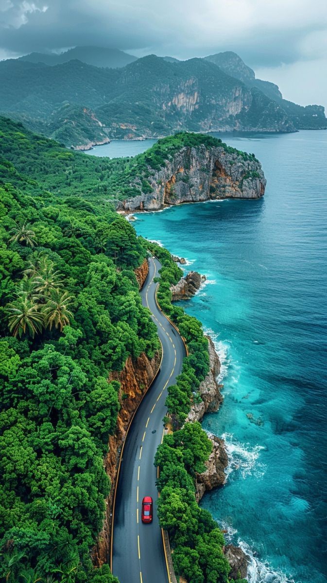 673x1200, 225 Kb / Пальмы, лес, дорога, горы, скалы, побережье, автомобиль