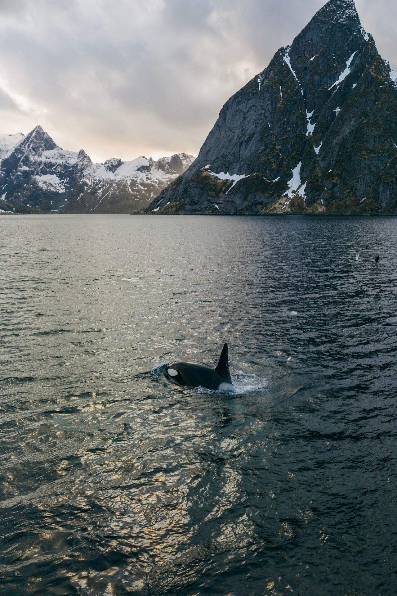 1280x1920, 498 Kb / касатка, озеро, горы, скалы