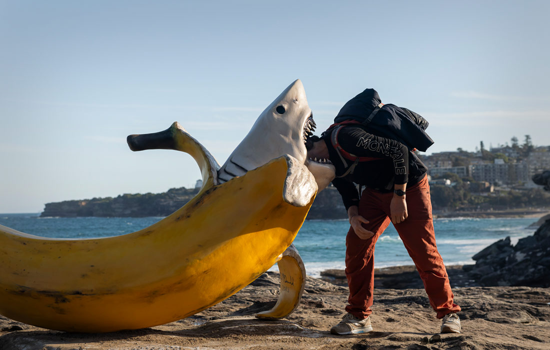 1100x700, 125 Kb / банан, акула, скульптура, Сидней, Австралия, голова, море