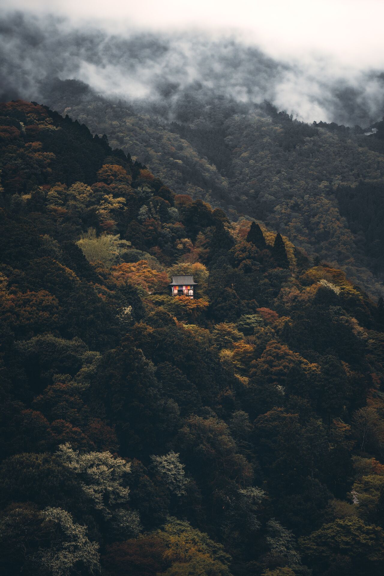 1280x1920, 348 Kb / домик, горы, лес, облака, туман