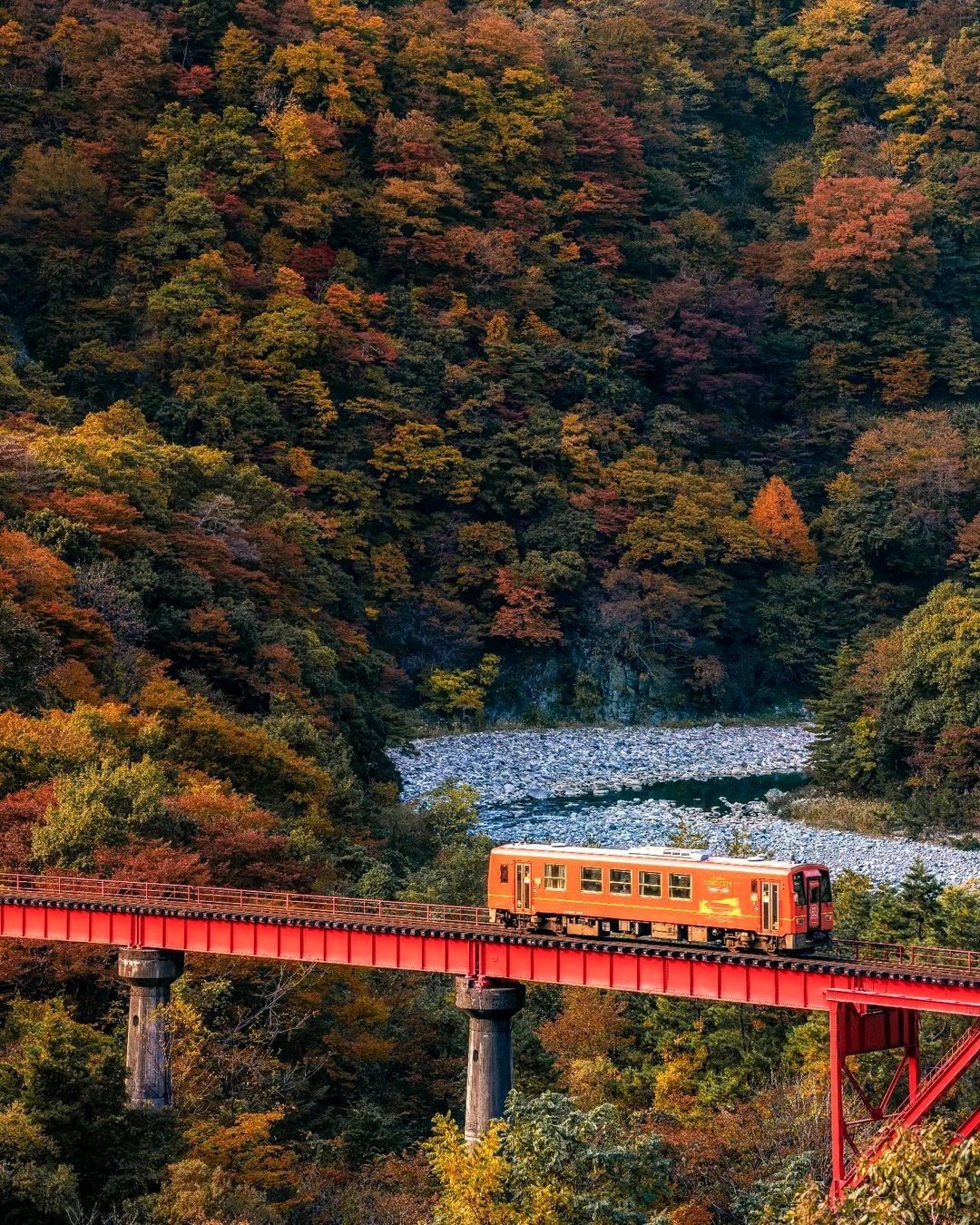 1080x1350, 459 Kb / лес, мост, эстакада, железная, дорога, тепловоз