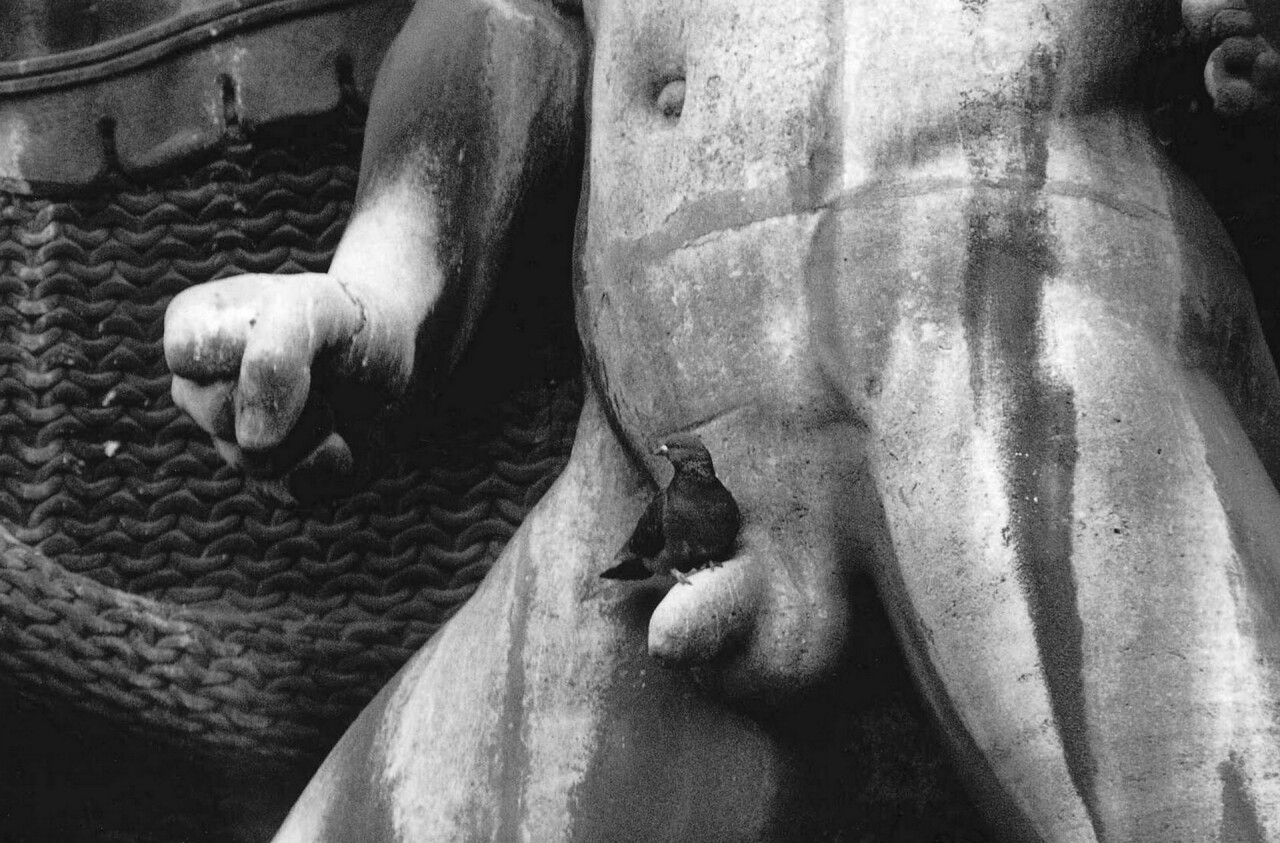 1280x843, 268 Kb / скульптупа, птица, Робер Дуано, ч/б