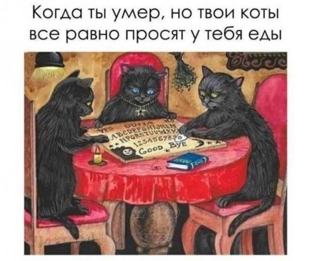 640x537, 66 Kb / Кот, кошка, спиритизм