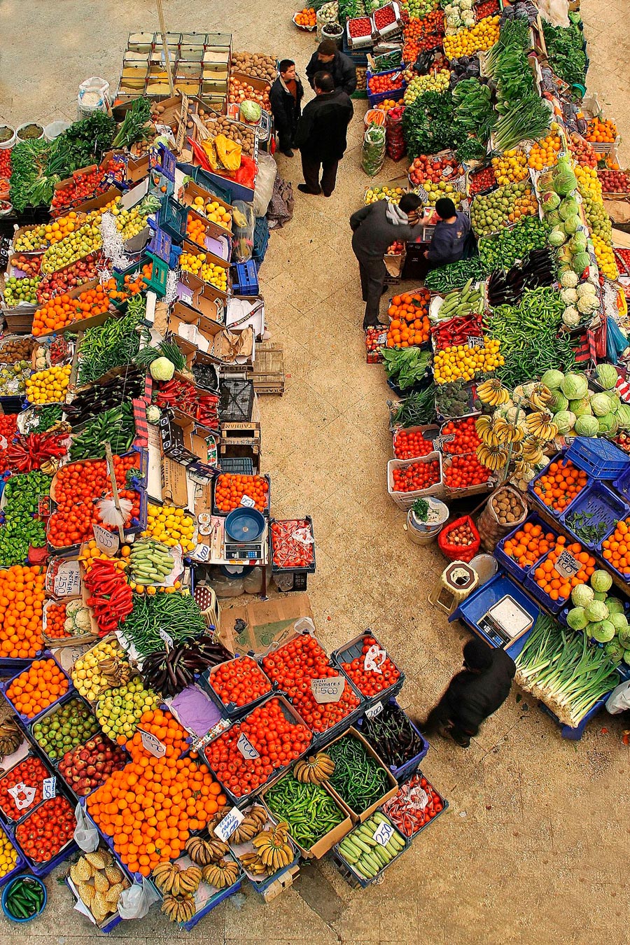 900x1350, 564 Kb / овощи, фрукты, рынок, базар