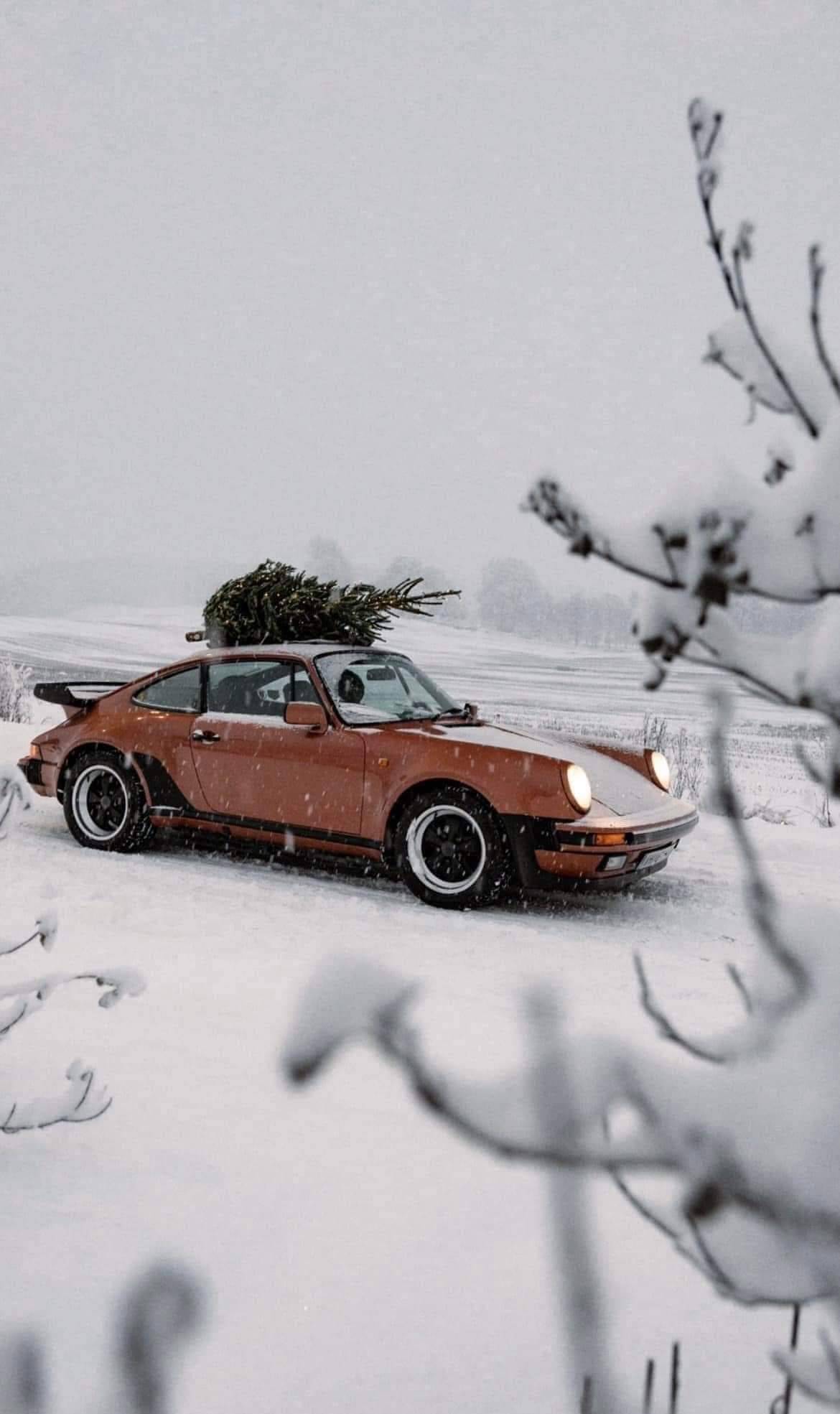 1170x1969, 110 Kb / автомобиль, классика, ретро, Porsche, снег, ель, елка