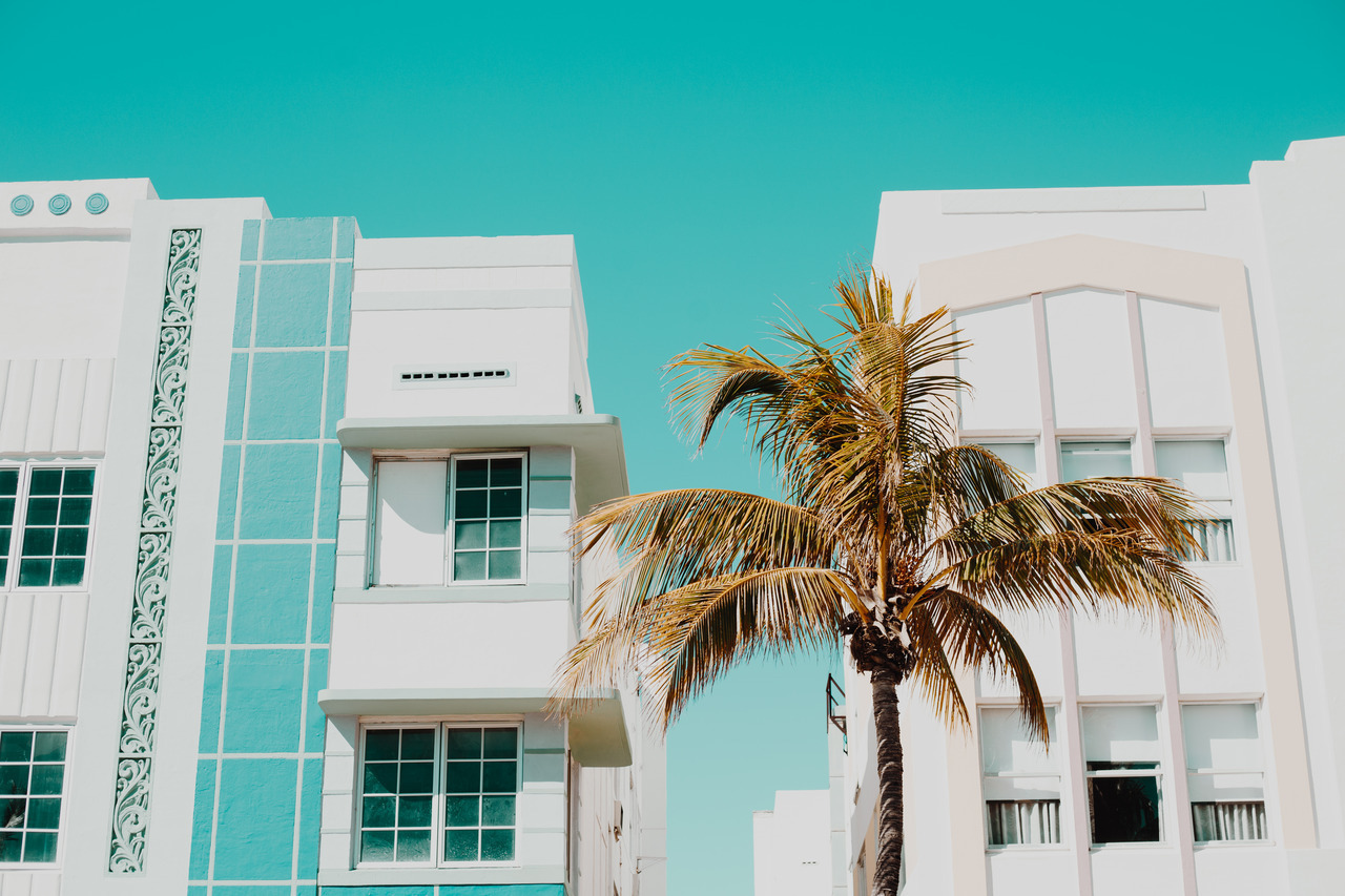 1280x853, 336 Kb / пальма, дом