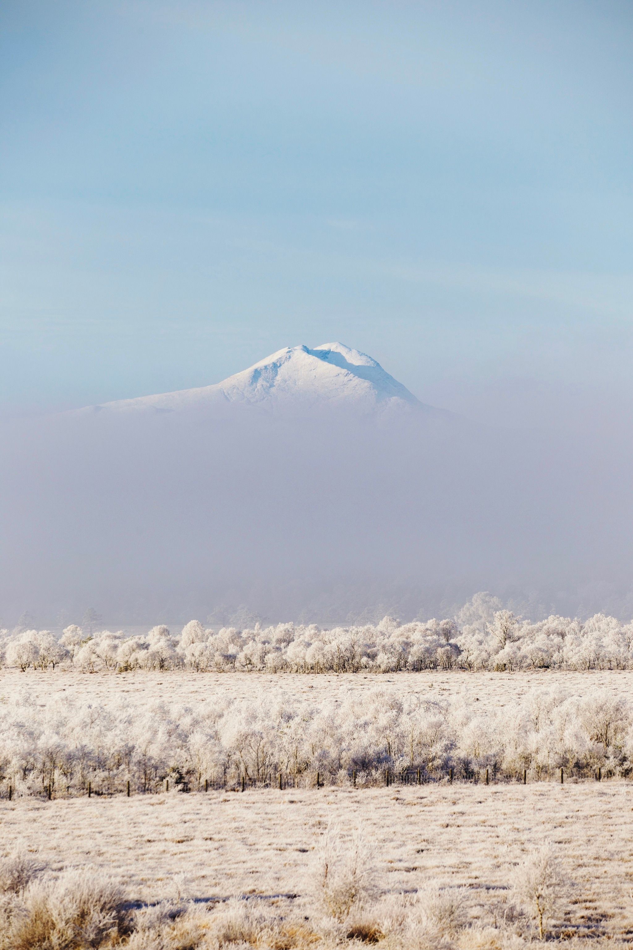 2048x3072, 594 Kb / поле, забор, горы, облака, туман, дерево