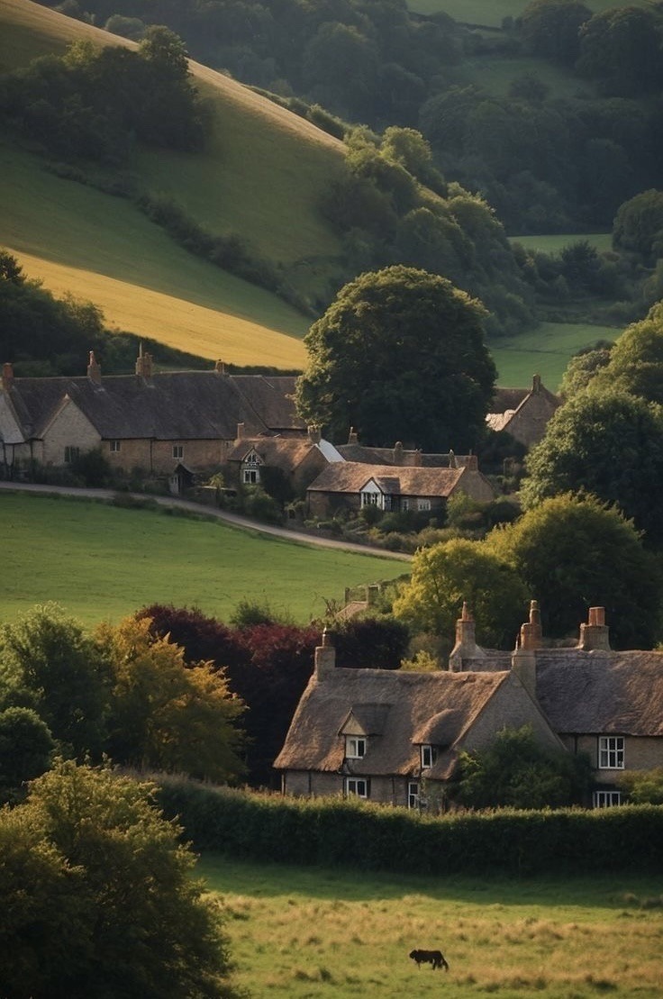 736x1109, 189 Kb / Дом, деревня, холмы, горы, луг, трава, дерево