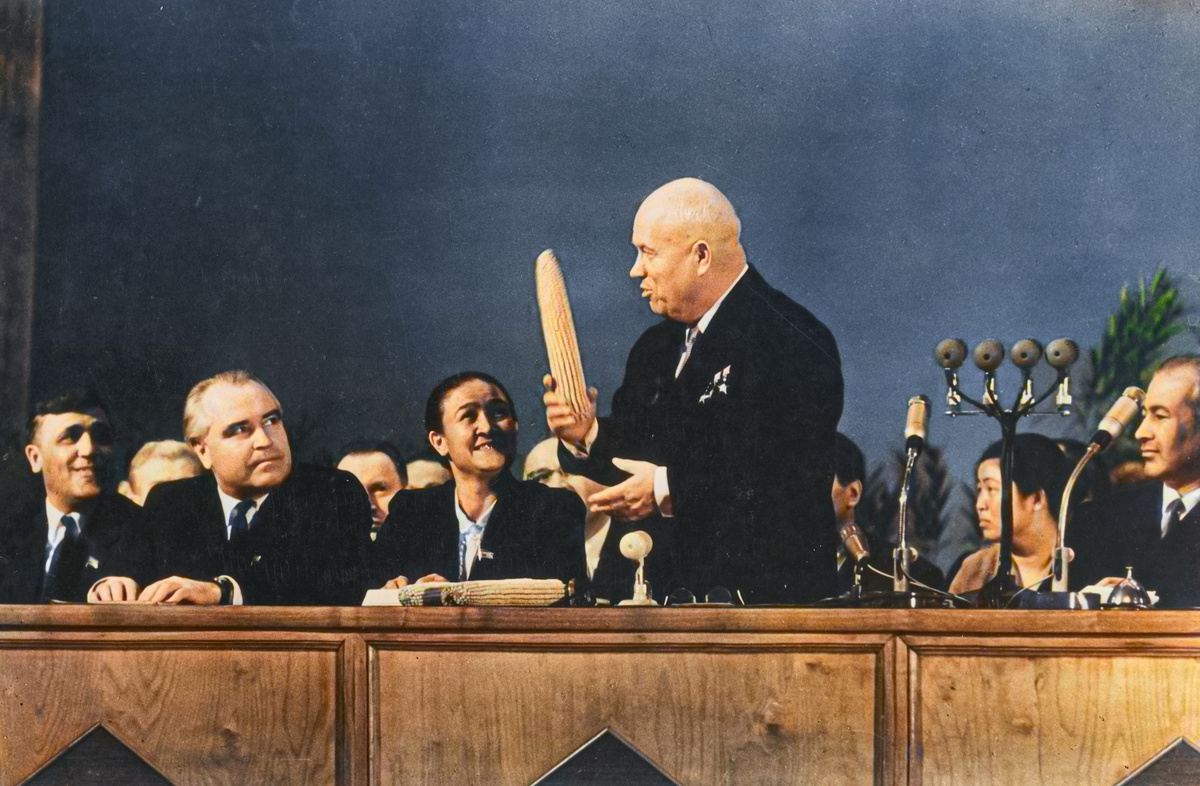 1200x786, 388 Kb / Хрущев, кукуруза, початок