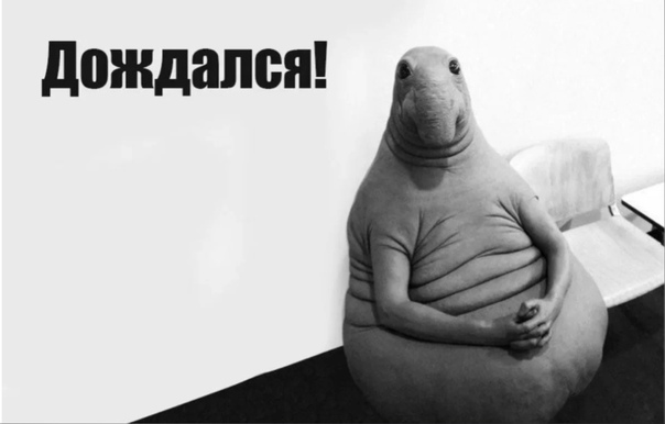 604x386, 45 Kb / ждун, дождался