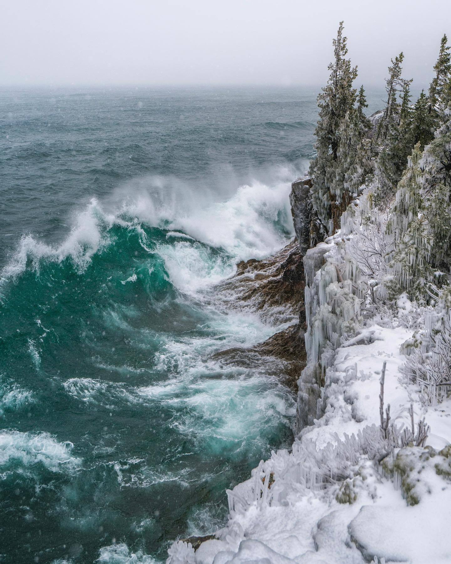 1440x1799, 419 Kb / волны, скалы, лед, дерево, лес, берег, обрыв