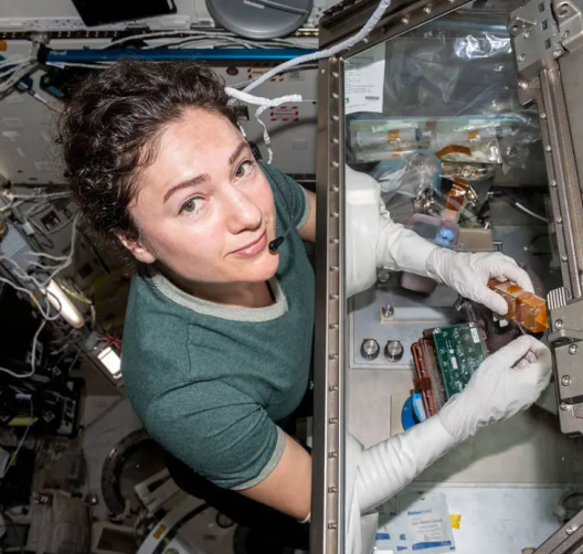 528x502, 607 Kb / Jessica Meir,бортинженер,астронавт