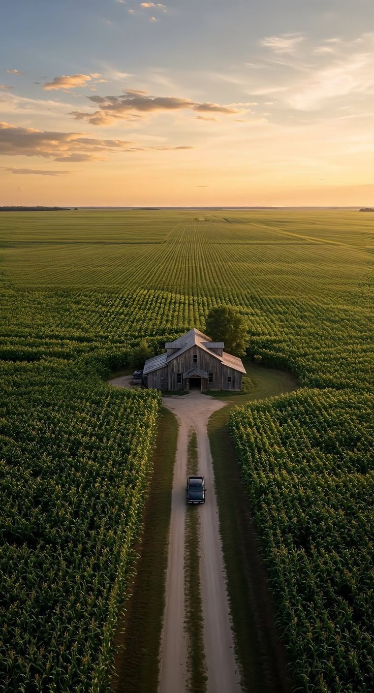 736x1364, 245 Kb / автомобиль, пикап, дом, сарай, поле, кукуруза, дерево, небо, облака
