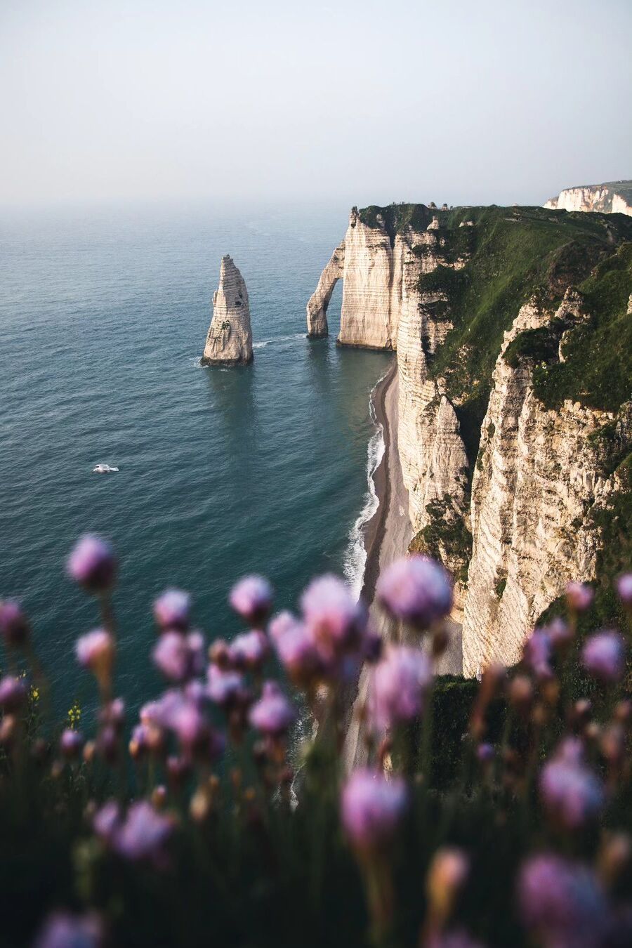 900x1350, 177 Kb / горы, скалы, обрыв, цветы, море, побережье