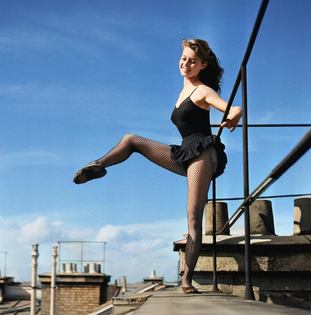 1000x1013, 347 Kb / Бриджит Бардо, в черном, сетка, крыша, небо