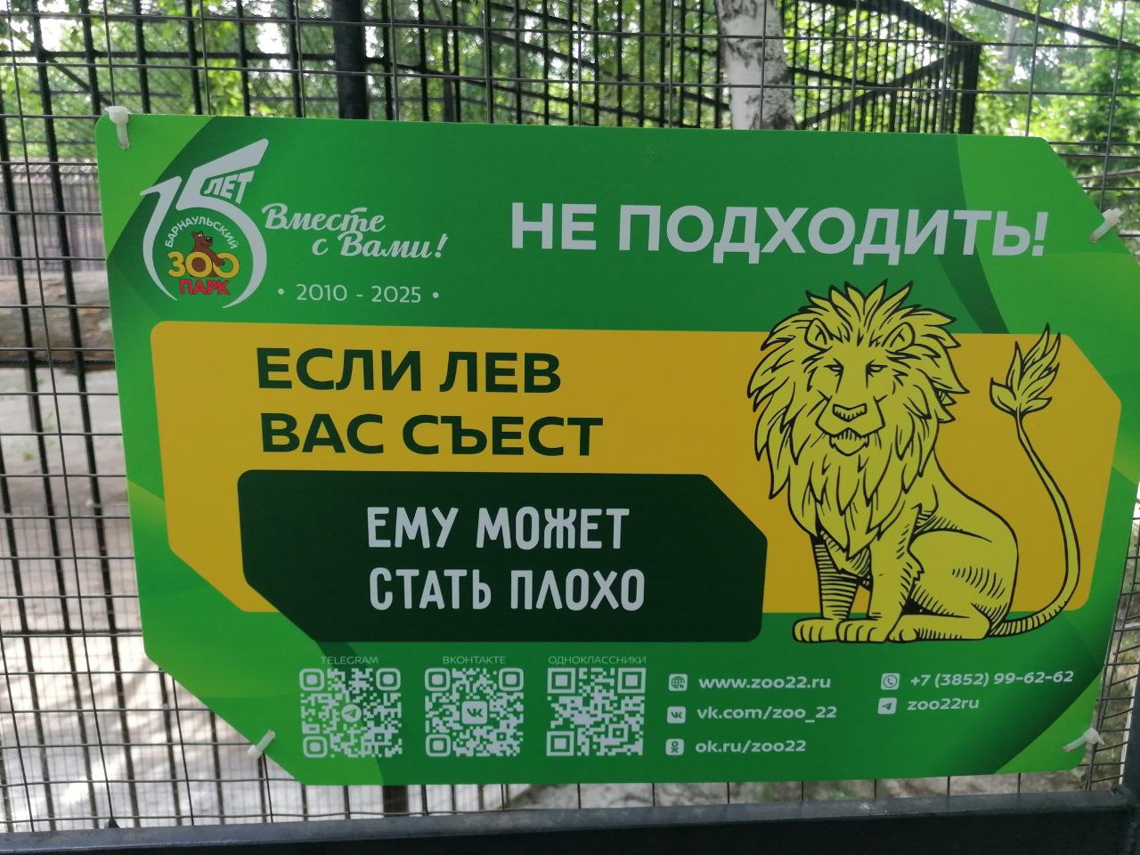 1280x960, 218 Kb / Зоопарк, клетка, лев