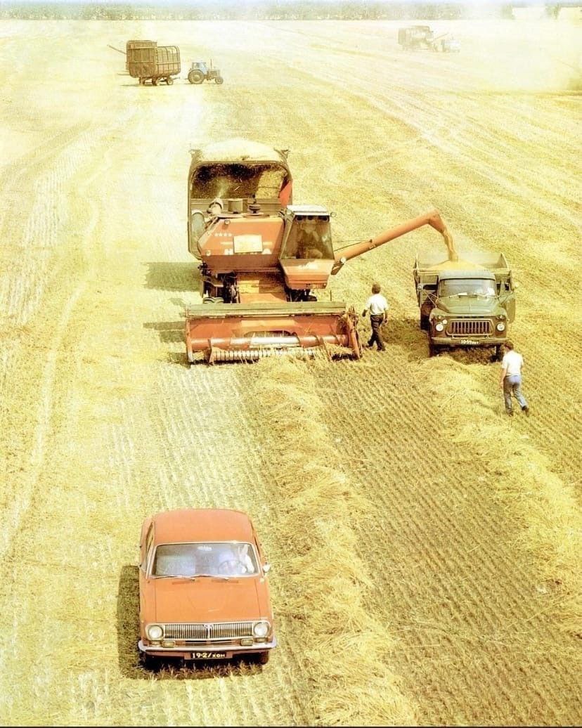 828x1036, 190 Kb / СССР, нива, газ, поле, зерно, комбайн, Волга, уборка
