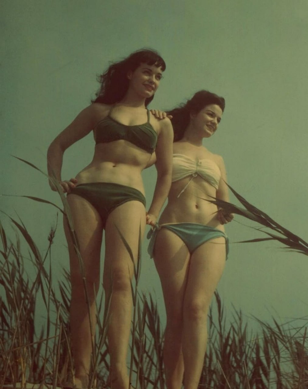 1013x1280, 108 Kb / Бетти Пейдж, пин-ап, бикини, две, трава