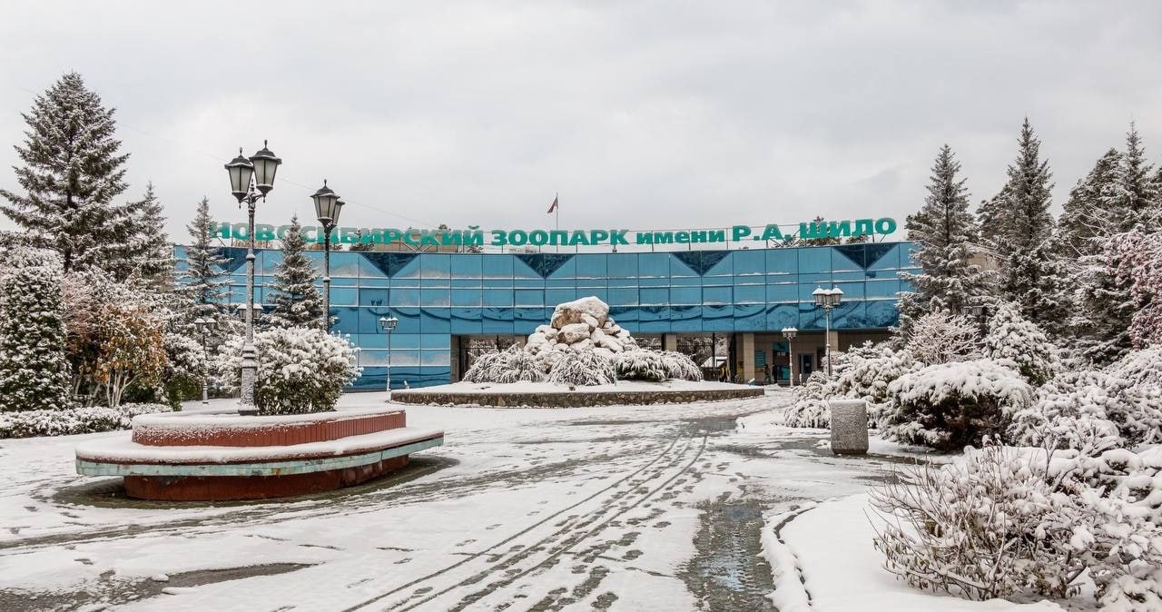 1280x674, 196 Kb / Новосибирск, зоопарк, снег