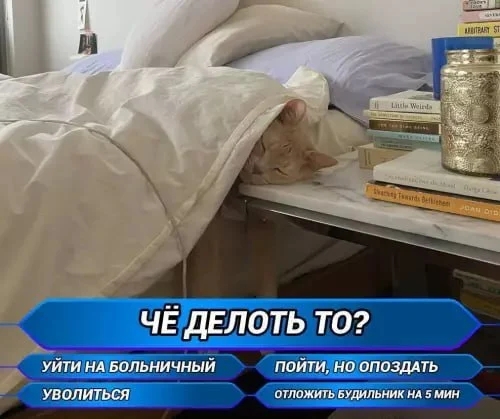 500x419, 121 Kb / кот,одеяло,варианты