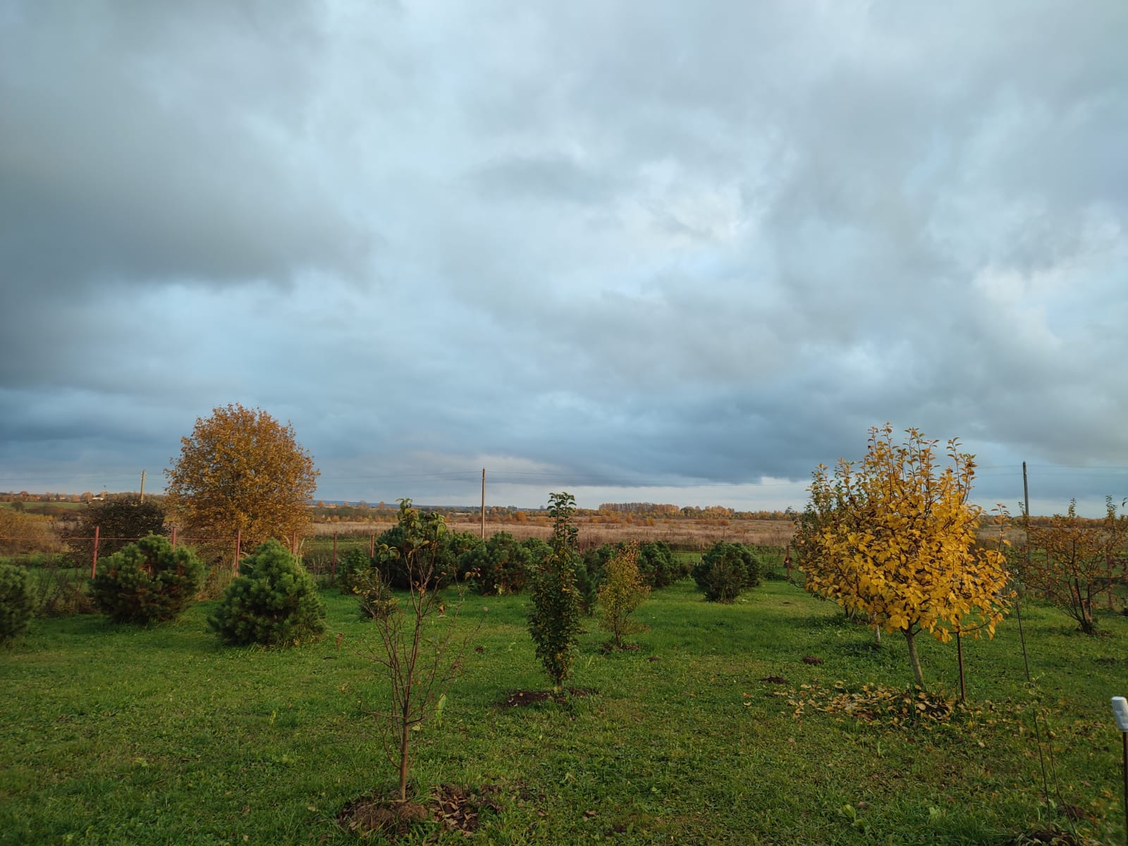 1600x1200, 226 Kb / среднерусские просторы, благодать, пейзаж