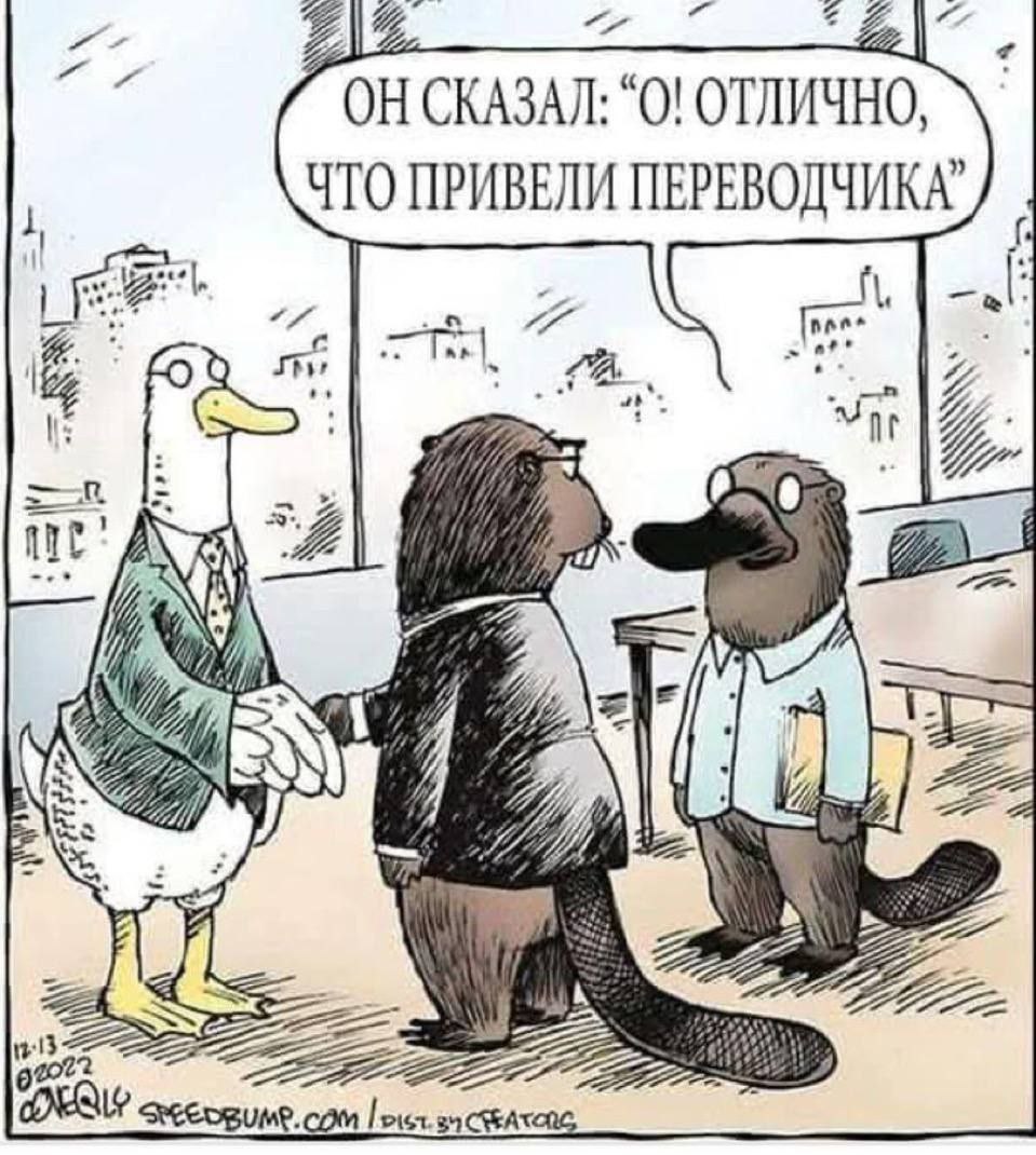 959x1070, 181 Kb / переводчик, утконос, бобр, гусь, утка, пиджак