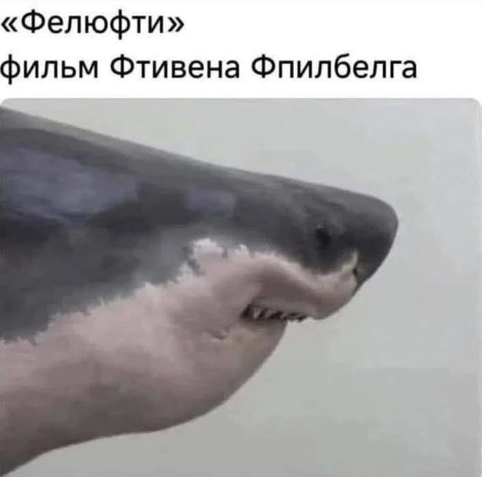 700x692, 33 Kb / Фелюфти, Спилберг, Акула, челюсти, картавый