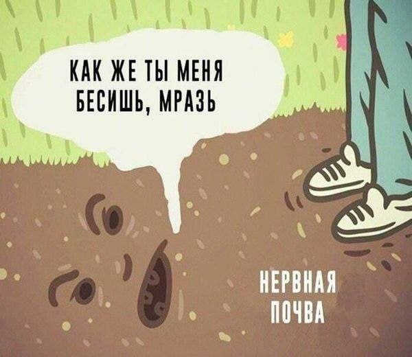 600x520, 45 Kb / нервная почва