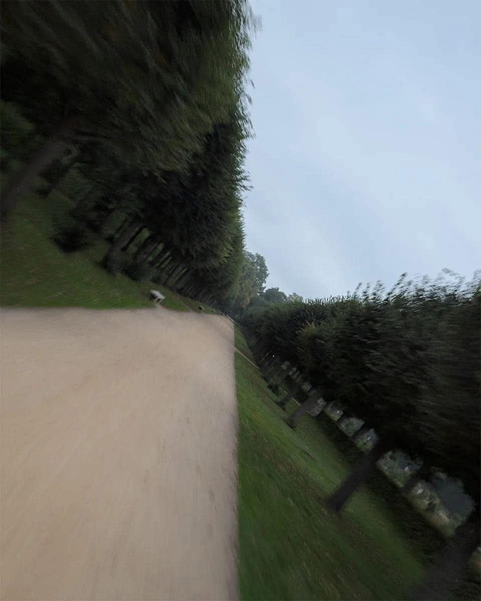 960x1200, 90 Kb / парк, аллея, деревья, угол, четверти, крест