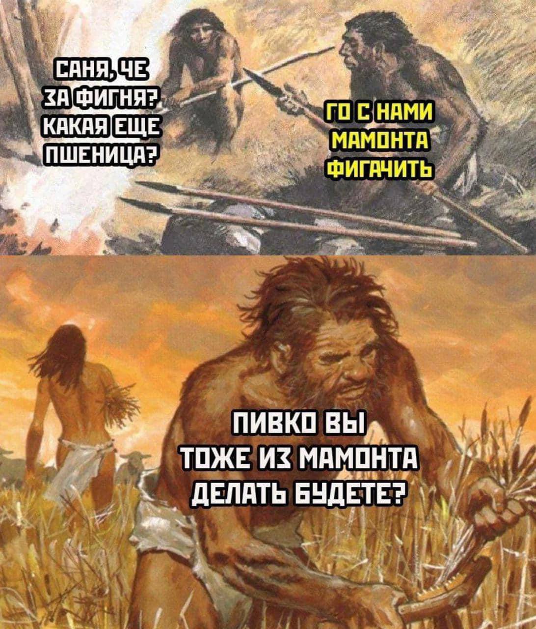 1092x1280, 189 Kb / пиво, пшеница, мамонт