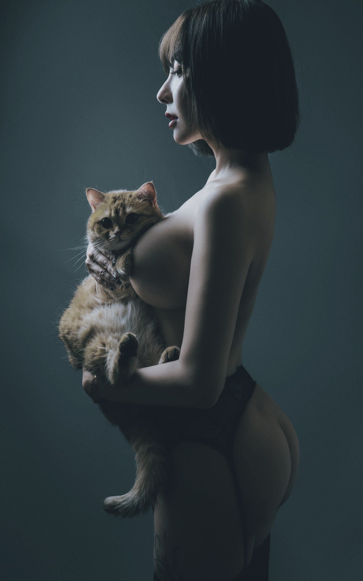 1275x2040, 198 Kb / сиськи, киска, кот, кошка