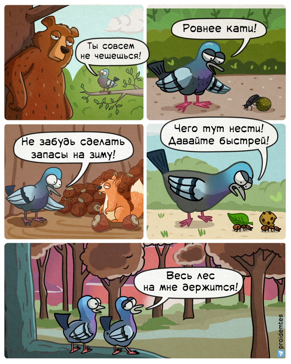 1024x1280, 256 Kb / лес, голубь, начальник, менеджер, белка, медведь, муровей