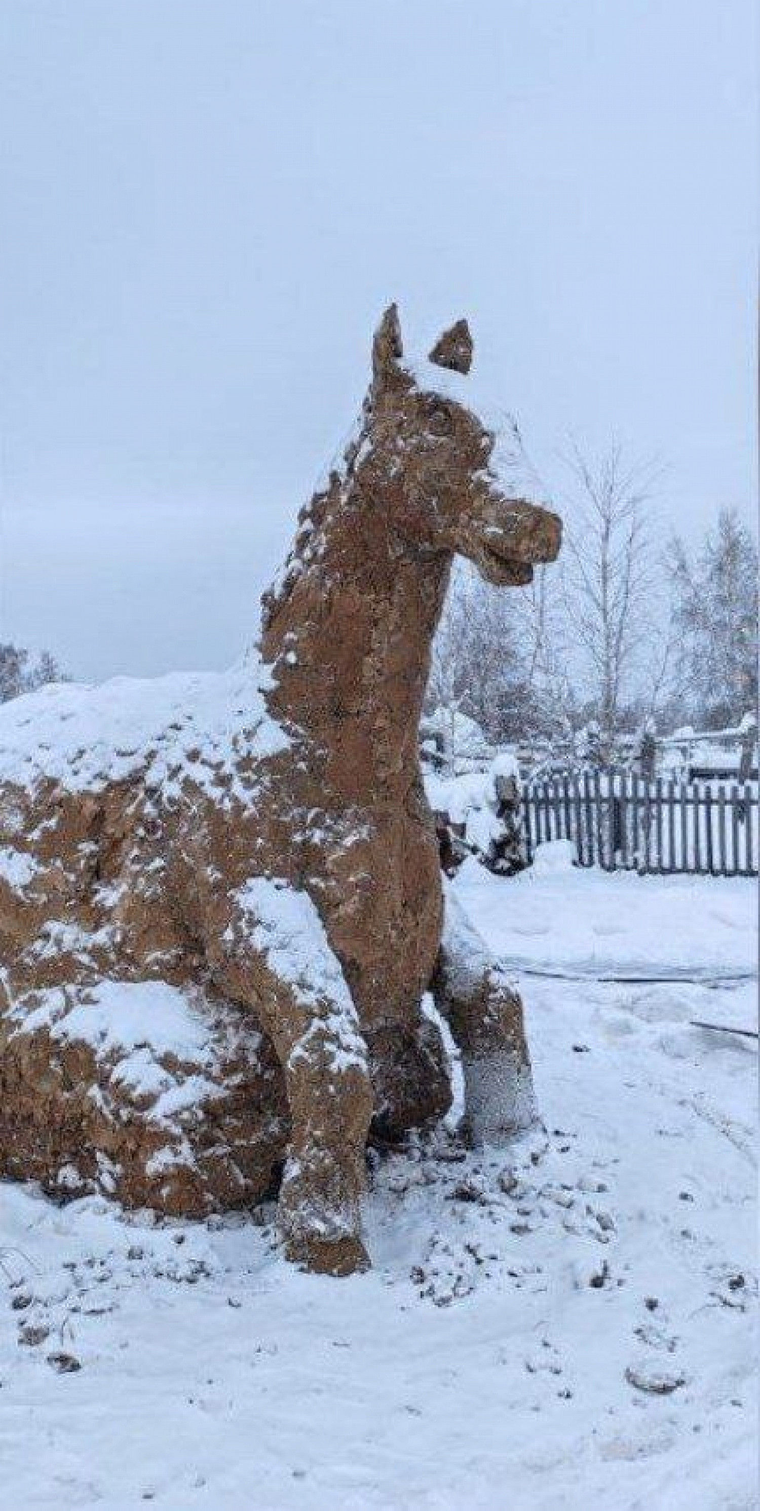 1500x2982, 626 Kb / Якутия, лошадь, навоз, снег