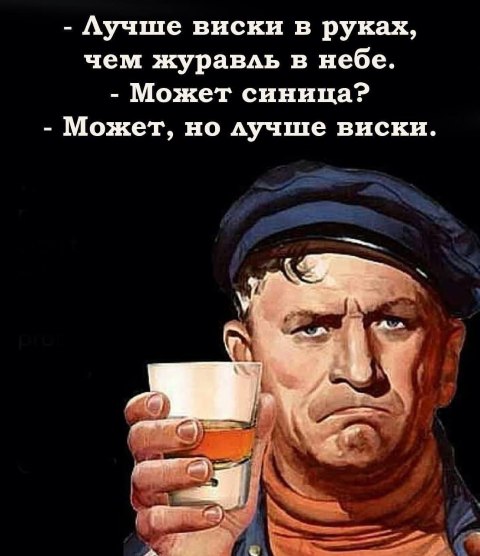 480x556, 50 Kb / пословица,виски