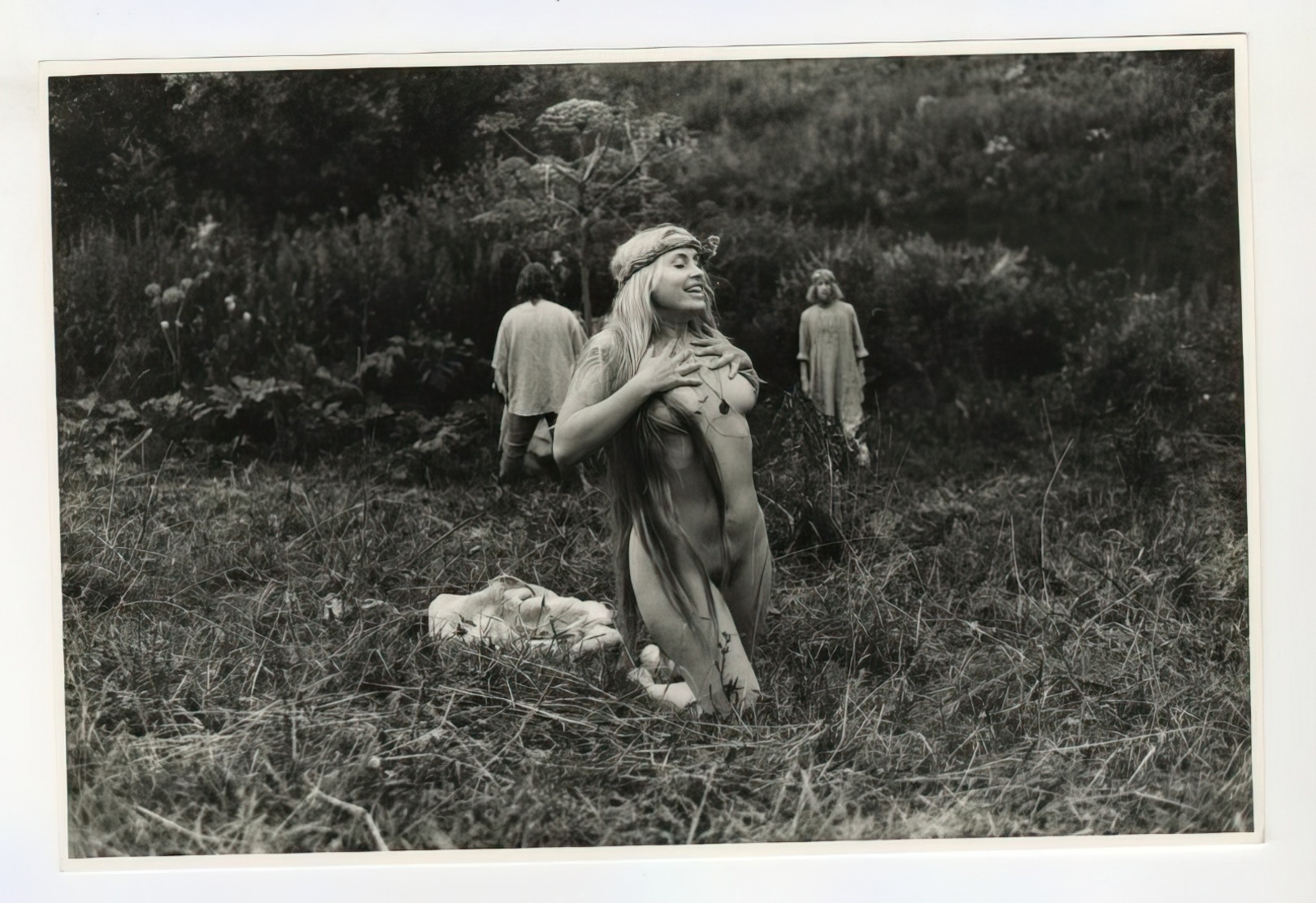 1619x1111, 582 Kb / ч/б, борщевик, трава, украшение, повязка