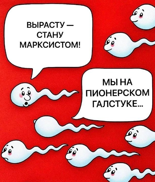 612x720, 101 Kb / мечта,реальность